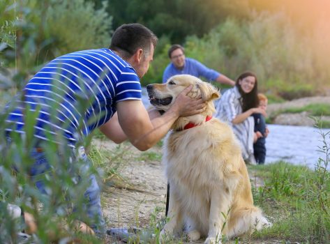 Hund in der Natur