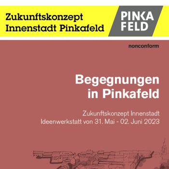 Zukunftskonzept Pinkafeld online